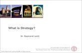 What is Strategy? - Stanford University