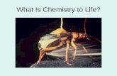 What Is Chemistry to Life?