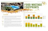 SuStainability pathwayS Food waStage FootprintS