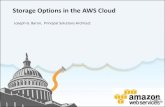 Storage Options in the AWS Cloud