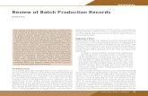 Review of Batch Production Records