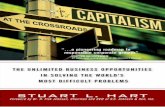 Capitalism at the Crossroads: The Unlimited Business Opportunities