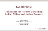 TAX REFORM: Prospects for Reform Benefiting Indian Tribes and