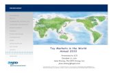 Toy Markets in the World Annual 2010 - Toy Industry Association, Inc