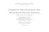 Support Mechanism for Brachial Plexus Injury - CAE Users