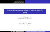 Irreducible representations of the symmetric group