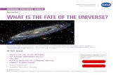 Universe Discovery Guides: November â€” What is the Fate of the