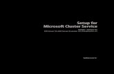 Setup for Microsoft Cluster Service - VMware
