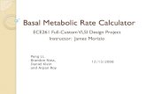 Basal Metabolic Rate Calculator