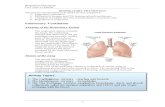 RESPIRATORY PHYSIOLOGY The process of respiration is divided into