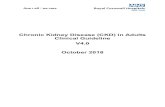 CLINICAL GUIDELINE FOR MANAGEMENT OF CHRONIC KIDNEY DISEASE (CKD