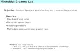 Microbial Grazers Lab - Marine Biological Laboratory