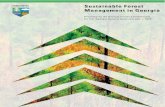 Sustainable Forest Management in Georgia