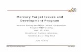 Mercury Target Issues and Development Program