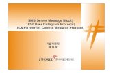 SMB(Server Message Block) UDP(User Datagram Protocol) ICMP