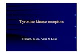 Tyrosine kinase receptors
