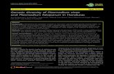 Genetic diversity of Plasmodium vivax and Plasmodium falciparum in