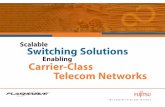 Scalable Switching Solutions