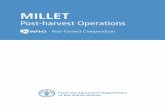 MILLET: Post-harvest Operations