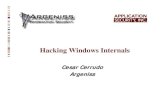 Hacking Windows Internals - Black Hat