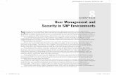 CHAPTER User Management and Security in SAP Environments