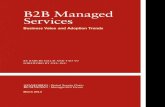 B2B Managed Services