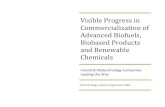 Visible Progress in Commercialization of Advanced Biofuels