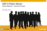 SAP in Public Sector -