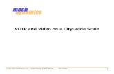 VOIP and Video on a City-wide Scale - Meshdynamics