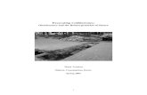Excavating Cobblestones: Obsolescence and the Reinterpretation of