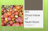 An Overview of Nutrition - Carol Kraft