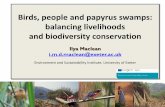 Birds, people and papyrus swamps: balancing livelihoods and