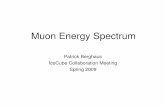 Muon Energy Spectrum