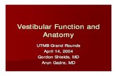 Vestibular Function and Anatomy - MM3 Admin : Login