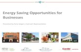 Energy Saving Opportunities for Businesses