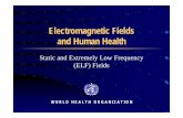 Electromagnetic Fields and Human Health