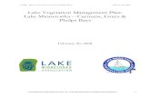 Lake Vegetation Management Plan: Lake Minnetonka â€“ Carmans
