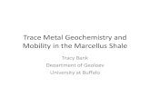 Trace Metal Geochemistry and Mobility in the Marcellus Shale