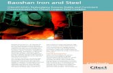 Baosteel is ranked among the top three most competitive steel