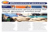 Autonomous Bougainville Government (ABG) - Page 9 … · 2015. 11. 20. · Government (ABG) and local copra producers ... There is a private company in Bougainville called Virgin
