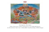 Sangtik Phurpa The Secret Vital Essence of Vajrakīlaya: A Practice … · 2020. 12. 21. · Vajrakumāra (Sangtik Purba) ཀུན་བཟང་རྡོར་སེམས་དཔལ་ཆེན་ཧེ་རུ་ཀ