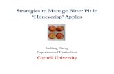 Strategies to Manage Bitter Pit in ‘Honeycrisp’ Apples...Poliana Francescatto Partitioning of a Water Soluble Dye, Acid Fuchsin Untreated control ABA (350 ppm) Poliana Francescatto