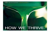 HOW WE THRIVE. · 2020. 6. 1. · rolling mill—as we have since the China steel boom began in 2005. Recently, we’ve seen a drop in sales of our cold rolling oils. However, because