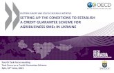 EASTERN EUROPE AND SOUTH CAUCASUS INITIATIVE ...•17.5% of employment (2013) & the segment of farms sized 100-2000ha for: •22% of agri-firms (2013) •34% of UKR arable land (2013)