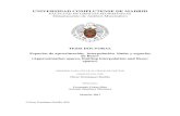 UNIVERSIDAD COMPLUTENSE DE MADRID · 2017. 5. 24. · UNIVERSIDAD COMPLUTENSE DE MADRID FACULTAD DE CIENCIAS MATEMÁTICAS Departamento de Análisis Matemático TESIS DOCTORAL Espacios