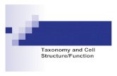 Taxonomy and Cell Structure/Function · 2015. 4. 13. · n Replicates once for each cell division ... 2054 Taxonomy and Bacteria Structure C3.ppt Author: Craig Oberg Created Date: