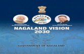 Government of Nagaland · 2021. 7. 24. · nagaland Vision 2030 iv Message The Bible says “where there is no vision, the people perish” (Proverbs 29:18). Even in the area of governance