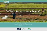 What is agroecology? · 2021. 6. 24. · of agroecology, and instead promote a transdisciplinary, participatory, action-oriented approach combining insights from natural, environmental