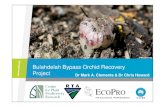 THE ECOLOGICAL PROFESSIONALS€¦ · Bulahdelah Bypass Orchid Recovery Project Propagation and Translocation • Primary aim is to propagate the orchids from seed and replant in an
