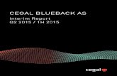 CEGAL BLUEBACK AS · 2017. 4. 25. · CEGAL BLUEBACK AS, INTERIM REPORT Q2 2015 / 1H 2015 FINANCIAL STATEMENTS Amount in NOK million 6 PROFIT & LOSS Unaudited Q2 2015 Unaudited Q2